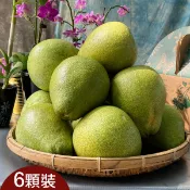 【台灣好農】多多龍有機農場 文旦5斤