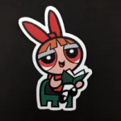 PVC 防水貼紙 看書的花花 飛天小女警 行李箱貼紙 安全帽貼紙 筆電貼紙 惡搞貼紙 機車貼紙 露營貼紙
