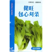 種子王國 健旺包心刈菜 刈菜 四季可栽種【芥菜類種子】四季常吃 健康野菜 興農種苗 家庭園藝 原包裝種子 每包約5公克
