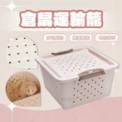 【現貨】小寵運輸盒 倉鼠運輸籠 倉鼠外出籠 打孔運輸盒 透氣整理箱 倉鼠用品 黃金鼠/三線鼠外出籠 倉鼠籠 小寵物箱