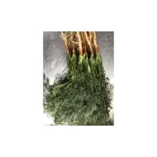 (店+)茴香種子 10ml 小茴香種子 香料種子 濃郁的香氣
