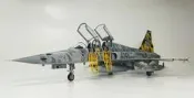 AFV 1/48 F-5F 台東虎彩繪機（已售出）