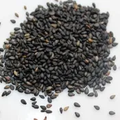 [吉田佳]B221521，炒熟黑芝麻粒，另售芋頭香料，草莓香料，蜂蜜香料，食用色膏，糖霜色素，4色水四色水