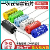 鋼絲鉛封 集裝箱施封鎖 一次性防盜鎖扣 油罐車鎖 水電表封條 封簽 定制 鋼絲鎖 貨櫃封條 卡車封鎖