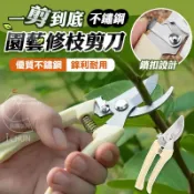 園藝剪刀 盆栽剪刀 修枝剪刀 花枝剪刀 樹枝剪 粗枝剪刀 花剪 檳榔剪刀 採果剪刀 農用剪刀 摘果剪 果樹剪