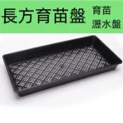 豆芽盤 貓草盒 小麥草種子 大麥草 無土栽培 水耕苜蓿芽 黃豆 綠豆 帶蓋拖盤 園藝陽台 家中種菜