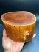 台灣原始林重油櫸木（紅雞油）閃花原木底座擺件。