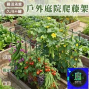 築夢居 免運 公司貨 可開發票 【蔬菜爬藤支架】 黃瓜絲瓜攀爬架 菜園種菜拱形爬藤架 盆栽瓜果鐵藝支撐架 陽臺豆角番茄攀爬網架 戶外菜畦拱形支架YUH工廠直銷 全館折扣 售後保障 店長新品推薦 年底鉅惠 6z916112
