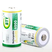 可充電電池1號1入 BTY鎳氫電池8000mah 熱水器電池【GQ403】 123便利屋