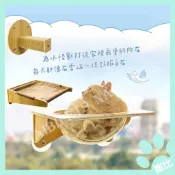 【怪獸部落】☁漫步雲端🐈 吸盤式貓吊床 (三款) 市售最強耐重20kg 貓抓住 貓跳台 貓咪床 貓麻繩 寵物吊床 貓抓板