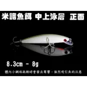 【白帶魚休閒小舖】 BD-015-3 夜光 米諾 各種 路亞 鐵板 鉛筆 顫泳 波趴 波扒 小胖子 鉛頭鉤 軟蟲 vib