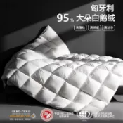 【臺灣熱賣】匈牙利進口羽絨被95白鵝絨被子春秋被加厚冬被芯單雙人學生鴨絨被
