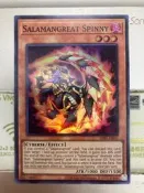 ［情侶卡舖］亞英 SDSS-AE007 轉生炎獸 犰狳蜥（亮面）轉生炎獸 預組