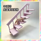 ★爬蟲新樂園★[台灣現貨]3D列印爬蟲攀爬階梯 超可愛階梯造型 適用直立式寬度20cm以上爬箱 攀爬 休憩 玩耍樹棲守宮