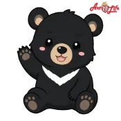 ArtLife 藝術生活 AQ035	台灣小黑熊_20x20cm含框 已投保商品責任險 DIY 數字油畫