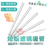 短吸管 養樂多吸管 兒童飲料吸管 環保平口吸管 玻璃吸管 攪拌吸管｜手機批發網
