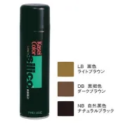 ＊微風小舖＊日本製造 花精暫時性補色噴霧 95g 大容量 三色可選 男女適用