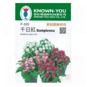 農友 千日紅 - 花卉種子