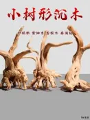 天然杜鵑根棲根紫柚木沉木魚缸水草缸樹枝樹根造景沉木一木成景