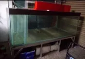 大型魚缸側濾 長8尺寬4尺高3尺 FRP 玻璃纖維.蝦槽.飼養箱.水族箱.魚缸.寵物箱.兩棲爬蟲.海水缸.魚菜共生 可參