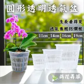 發票現貨～圓形透氣盆(多尺寸) 網盆氣 根植物栽培 蘭花 蕨類 水耕盆 高度透水 透氣 透氣盆 控根盆 塑膠花盆