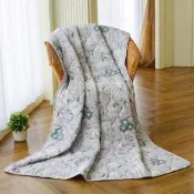 【LooCa】石墨烯空調四季被150x180cm(2入★多款任選-限量出清)