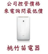 CHIMEI 奇美 RH-06E0RM 高效除溼機  桃竹苗電器0932101880