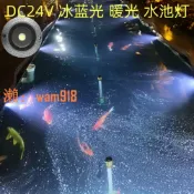 時悅商行 【台灣公司】低壓24V水下燈led防水冰藍光水底燈魚池水下燈水池景觀燈水底射燈