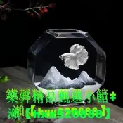 【可開發票】工業風中號周轉箱過濾箱魚缸魚池滴流盒過濾盒水循環系統增氧