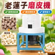 【電動自動磨皮】老蓮子磨皮機 紅蓮子拋光機 磨白機 蓮子去薄皮 泰蓮去皮機 電動蓮子去皮 拋光
