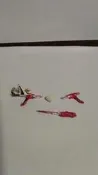S.H.Figuarts 恐龍戰隊 金剛戰士 武器