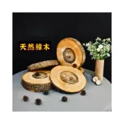 (店+)苔鑽🍀天然樟樹 龍柏 原木片/微香味/植物上板材料/蕨類上板材料/隔熱墊/拍照道具/居家飾品/盆栽/造景/空氣清淨