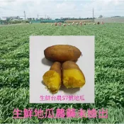 《免運費宅配到府》無毒台農57號小顆地瓜(黃皮黃肉)6斤295元 (慧軒農場) 日本品種栗子地瓜菱角，黃金，松阪玉紫地瓜