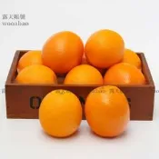 (MOLD-A_053)出口高仿真水果 假水果蔬菜模型 仿真橙子 柳丁柳橙 新奇士 重型