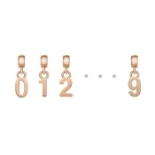【Daniel Wellington】DW 串飾 Charms 密語系列幸運數字吊墜-兩色任選(DW00400438)