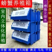 ✨丨臺灣熱賣🎉螃蟹養殖箱 青蟹養殖盒 梭子蟹 大閘蟹 飼養盒 室內立體 海水產養殖 設備