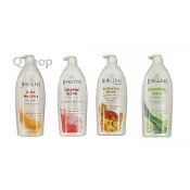 Jergens 珍柔 潤膚乳液 身體乳 極乾肌膚/蘆薈/特乾 全新品 新包裝