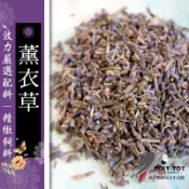 薰衣草 可食用 可泡茶 安定精神 波力鸚鵡二館