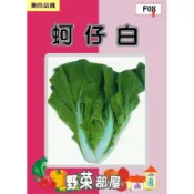【野菜部屋~】F08 日本蚵仔白種子1.3公克(約450粒) 評價高 口感極佳~