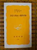 不二書店 文化大革命與 現代中國 安藤正士  岩波 日文原文