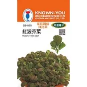 《農友種苗》特選貝比菜種子  SB-060 紅波芥菜