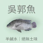 板橋阿禧鮮魚    吳郭魚 半鹹水 海吳郭魚 黑公 粉母 絕無土味 3去 魚 sgs檢驗全家冷凍 799元免運費 現貨