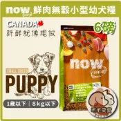 🔆毛毛果實🔅NOW 鮮肉無穀小型幼犬天然糧6磅｜無穀飼料 狗飼料 乾飼料 無穀飼料