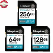 luckycard KINGSTON 64GB 128GB 256GB Plus SD SDHC SDG4 200MB/s V30 4K 金士頓｜APP賺6%點數回饋