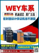 【現貨～免運～可開發票】WEY魏派VV5拿鐵VV6瑪奇朵新能源VV7 GT藍山摩卡P8馬勒機 濾 器