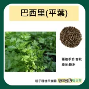【台灣出貨 電子發票】巴西里 平葉 種子 1g(約420粒) 巴西利 義大利香芹 洋香菜 菜籽 空中花園藝世界