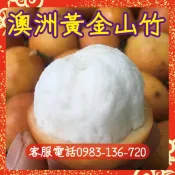AChaCha【澳洲黃金山竹】阿恰恰山竹，口感非常棒，不輸傳統山竹，果樹苗