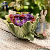歐舍傢居 比得兔 果盤 樹葉 兔子 糖果盤 彼得兔 置物盤 可愛動物 桌上收納盤 發票 鑰匙盒 點心盤 置物盤 名片盤
