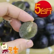 【愛合購】果之家 台灣溪洲高級巨峰葡萄5台斤(約5-7房)
