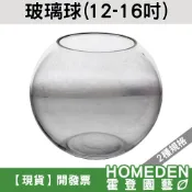 (店+)玻璃球 10吋~16吋 玻璃圓球 生態缸 魚缸 多肉植物 仙人掌 水耕 魚菜共生【HOMEDEN霍登園藝】